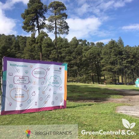 Green Central & Co Reforestación Nevado Toluca - Eventos sustentables